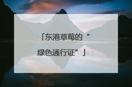 东港草莓的“绿色通行证”