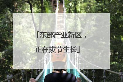 东部产业新区，正在拔节生长