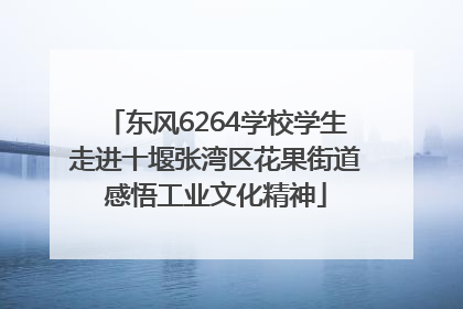 东风6264学校学生走进十堰张湾区花果街道感悟工业文化精神