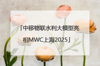 中移物联水利大模型亮相MWC上海2025