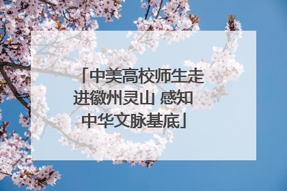 中美高校师生走进徽州灵山 感知中华文脉基底