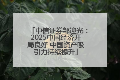 中信证券邹迎光：2025中国经济开局良好 中国资产吸引力持续提升