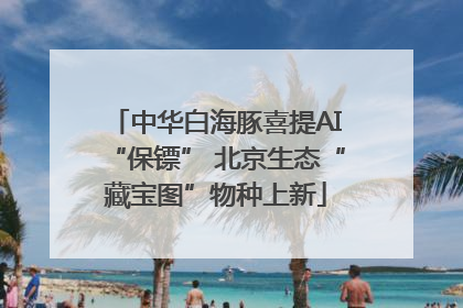 中华白海豚喜提AI“保镖” 北京生态“藏宝图”物种上新
