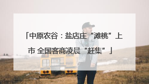 中原农谷：盐店庄“滩桃”上市 全国客商凌晨“赶集”