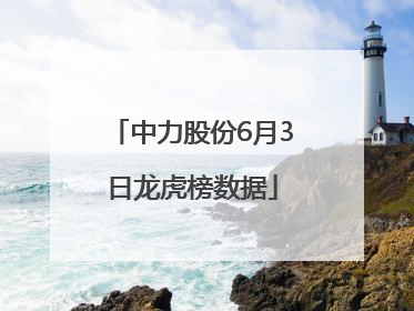 中力股份6月3日龙虎榜数据