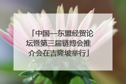 中国—东盟经贸论坛暨第三届链博会推介会在吉隆坡举行