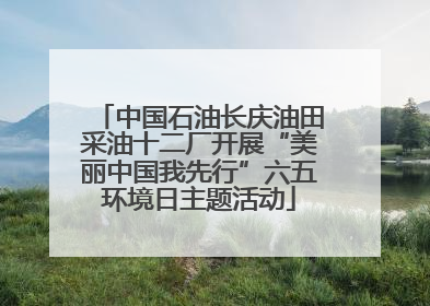中国石油长庆油田采油十二厂开展“美丽中国我先行”六五环境日主题活动