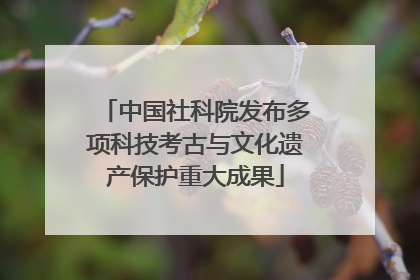 中国社科院发布多项科技考古与文化遗产保护重大成果