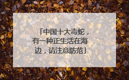中国十大毒蛇，有一种正生活在海边，请注意防范