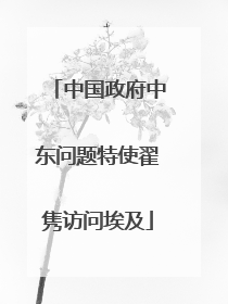 中国政府中东问题特使翟隽访问埃及