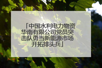 中国水利电力物资华南有限公司党员突击队勇当新能源市场开拓排头兵