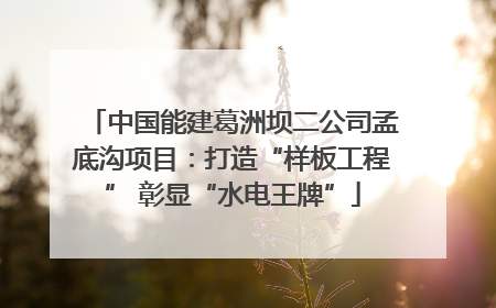 中国能建葛洲坝二公司孟底沟项目：打造“样板工程” 彰显“水电王牌”