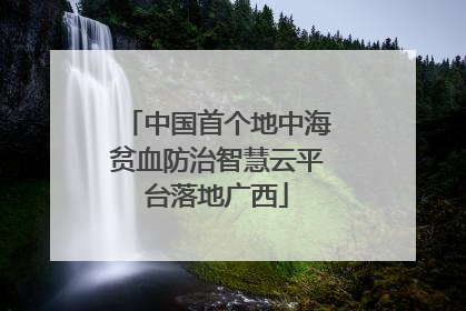 中国首个地中海贫血防治智慧云平台落地广西