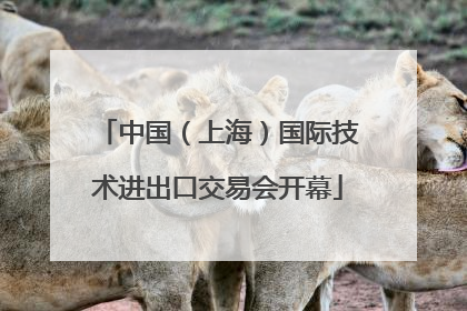 中国（上海）国际技术进出口交易会开幕