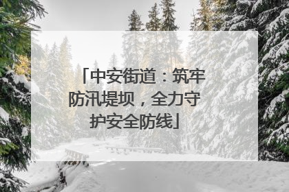 中安街道：筑牢防汛堤坝，全力守护安全防线