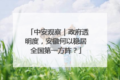 中安观察｜政府透明度，安徽何以稳居全国第一方阵？