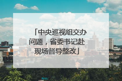 中央巡视组交办问题，省委书记赴现场督导整改