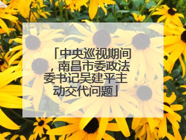 中央巡视期间，南昌市委政法委书记吴建平主动交代问题