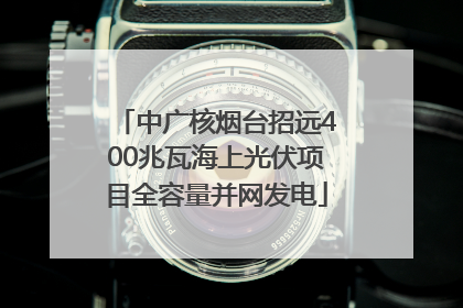 中广核烟台招远400兆瓦海上光伏项目全容量并网发电