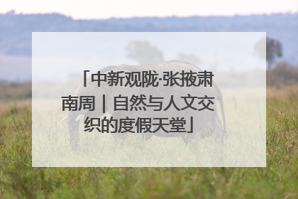 中新观陇·张掖肃南周｜自然与人文交织的度假天堂