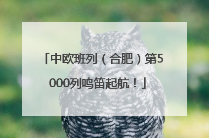 中欧班列（合肥）第5000列鸣笛起航！