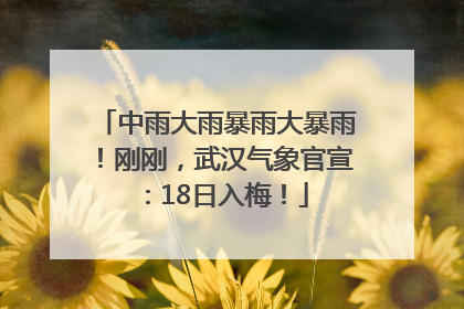 中雨大雨暴雨大暴雨！刚刚，武汉气象官宣：18日入梅！