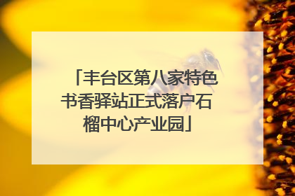 丰台区第八家特色书香驿站正式落户石榴中心产业园