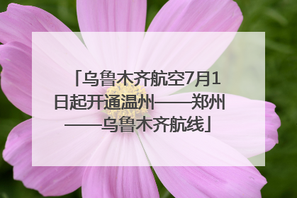 乌鲁木齐航空7月1日起开通温州——郑州——乌鲁木齐航线