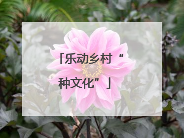 乐动乡村“种文化”