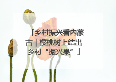 乡村振兴看内蒙古｜樱桃树上结出乡村“振兴果”