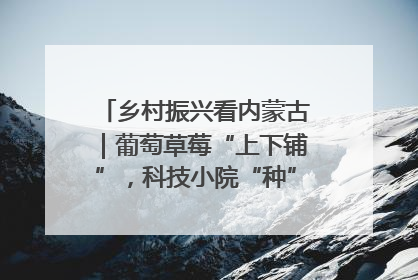 乡村振兴看内蒙古｜葡萄草莓“上下铺”，科技小院“种”出三倍效益