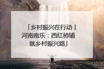 乡村振兴在行动丨河南南乐：西红柿铺就乡村振兴路
