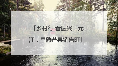 乡村行 看振兴｜元江：早熟芒果销售旺