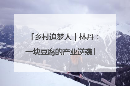 乡村追梦人｜林丹：一块豆腐的产业逆袭