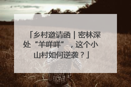 乡村邀请函｜密林深处“羊咩咩”，这个小山村如何逆袭？