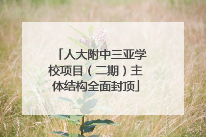 人大附中三亚学校项目（二期）主体结构全面封顶