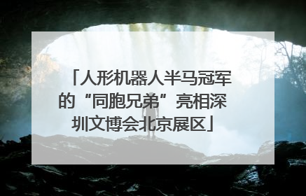 人形机器人半马冠军的“同胞兄弟”亮相深圳文博会北京展区