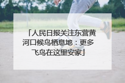 人民日报关注东营黄河口候鸟栖息地：更多飞鸟在这里安家