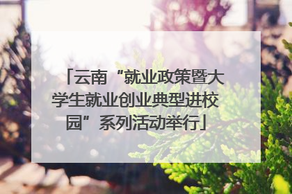 云南“就业政策暨大学生就业创业典型进校园”系列活动举行