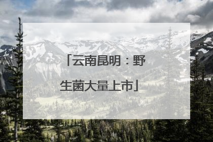 云南昆明：野生菌大量上市