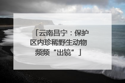 云南昌宁：保护区内珍稀野生动物频频“出镜”
