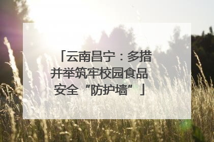云南昌宁：多措并举筑牢校园食品安全“防护墙”