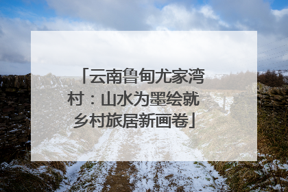 云南鲁甸尤家湾村：山水为墨绘就乡村旅居新画卷