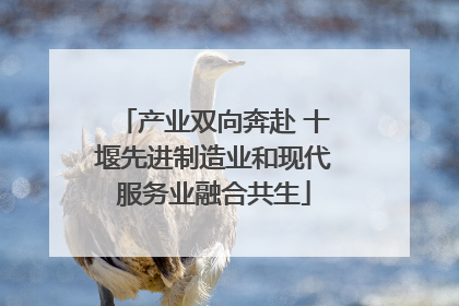产业双向奔赴 十堰先进制造业和现代服务业融合共生