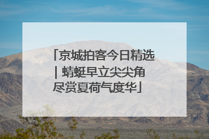 京城拍客今日精选｜蜻蜓早立尖尖角 尽赏夏荷气度华