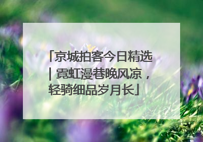京城拍客今日精选｜霓虹漫巷晚风凉，轻骑细品岁月长