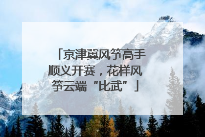 京津冀风筝高手顺义开赛，花样风筝云端“比武”