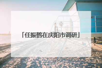 任振鹤在庆阳市调研