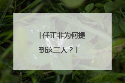 任正非为何提到这三人？