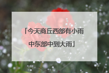 今天商丘西部有小雨 中东部中到大雨
